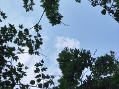 -东郊湿地公园