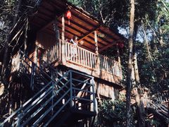 -天门沟九州驿站树上汤泉