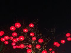 -万绿园
