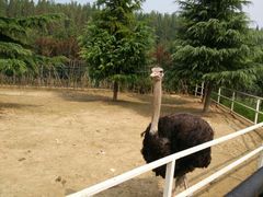 -宿豫区运河湾森林动物园