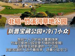 -铁山坪森林公园