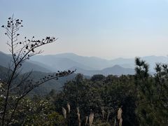 -东钱湖旅游度假区