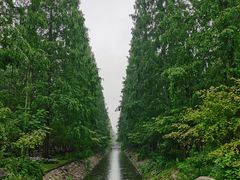 -东平国家森林公园