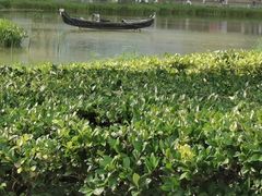 -花果园湿地公园