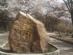 -吉林大学(南岭校区)