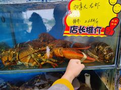 -蚝专家(北滘店)