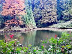 -山王坪喀斯特国家生态公园