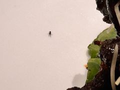 -城北食府(枫林店)