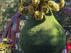 -杭州植物园