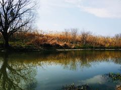 -新江湾城公园