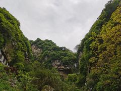 -抱龙峪