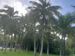 -深圳湾公园(南山区)