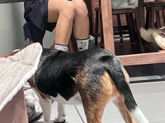 -Again Coffee Roaster(香蜜湖店)