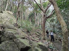 -梧桐山风景名胜区