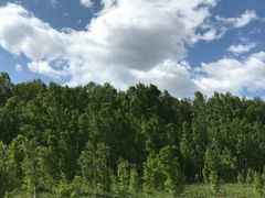 -乌兰布统草原