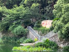 -东极岛景区