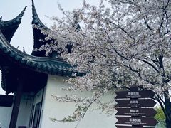 -苏州上方山国家森林公园