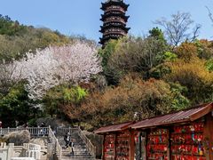 -牛首山文化旅游区