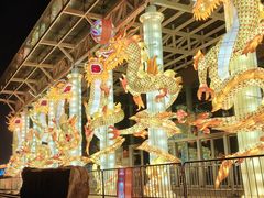 -武汉园博园(武汉自然博物馆)