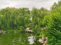 -济南大明湖景区