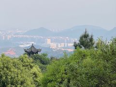 -龙坞茶村