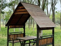 -大兴滨河森林公园