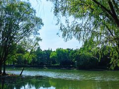 -长广溪湿地公园