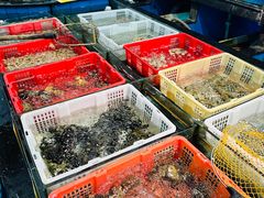 -新河畔海鲜酒楼(虎门店)