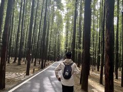 -山王坪喀斯特国家生态公园
