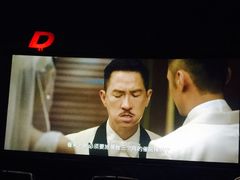 -枫花园汽车电影院(朝阳公园店)