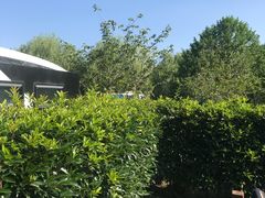 -崇明东平国家森林公园烧烤房车露营地