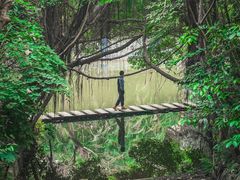 -燕晗山郊野公园