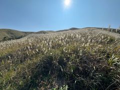 -萍乡武功山风景名胜区