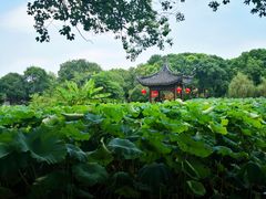 -丝绸小镇荻港古村