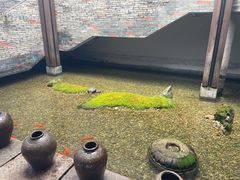 -几荷·恰似故人来(秀水广场店)