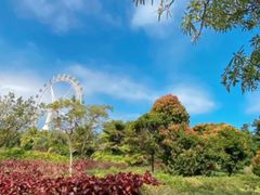 -白沙门生态公园