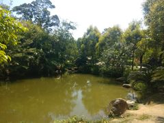 -中山市树木园