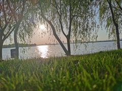 -瑶湖郊野森林公园