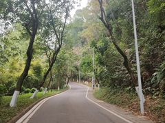 -火炉山森林公园
