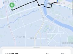 -上海滨江森林公园