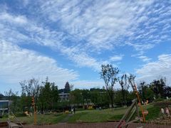 -铁山坪森林公园