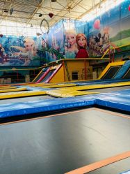 -爱丽丝奇幻乐园