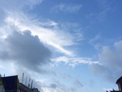 -华莱士·全鸡汉堡(常德桃源丽人街店)