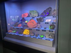 -湖南省地质博物馆