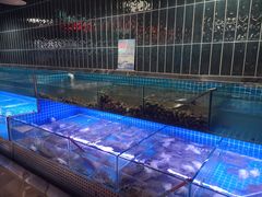 -海韵之星邮轮水会(明发商业广场店)