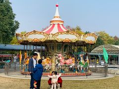 -上海海湾国家森林公园