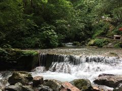 -西岭雪山大飞水景区