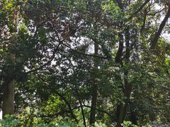 -白云山风景名胜区