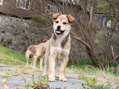 -南京金牛湖风景区
