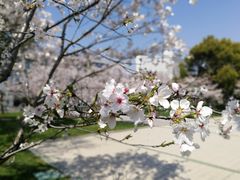 -中共上海市委党校 上海行政学院